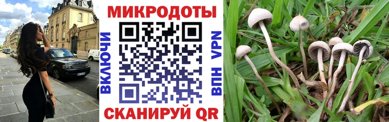 Псилоцибиновые грибы Cubensis  Купить  Бабаево 